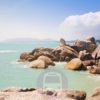 Get from the Koh Samui Airport to the hotel in Lamai Beach and back will be so easy if you will think about it in advance. Just book Transfer service!